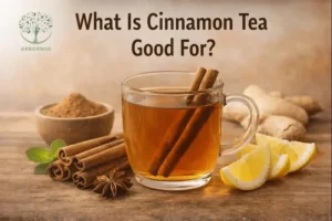 what is cinnamon tea good for